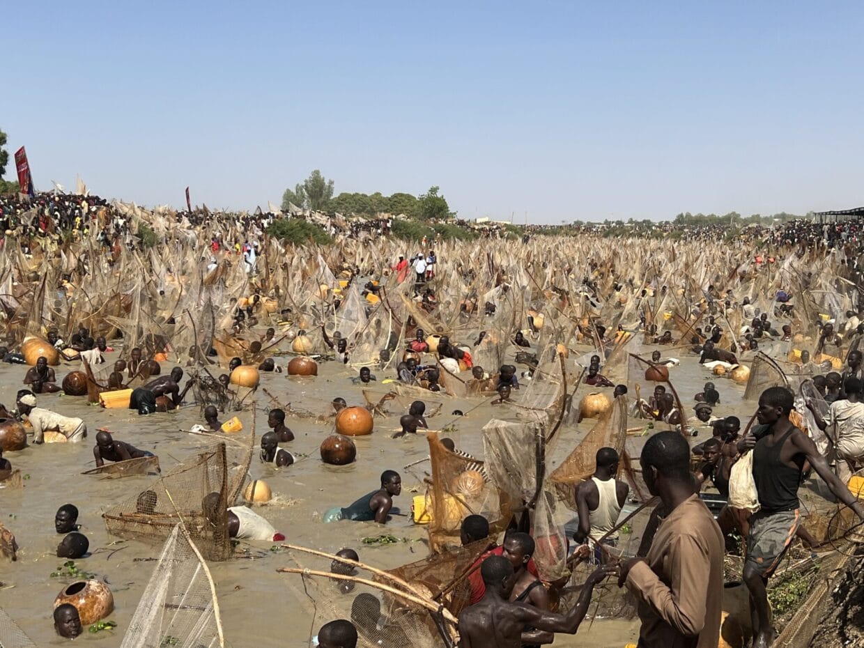 Argungu Fishing Festival