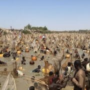 Argungu Fishing Festival