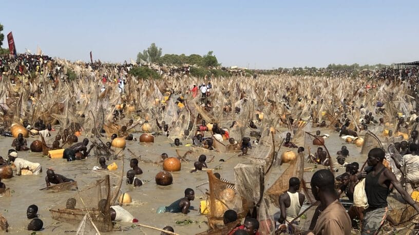 Argungu Fishing Festival